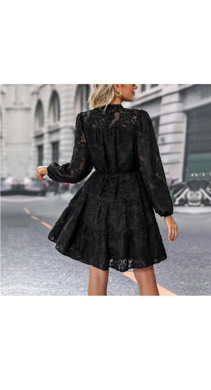 Elegant Lace Long Sleeve Lace-Up Loose Dress