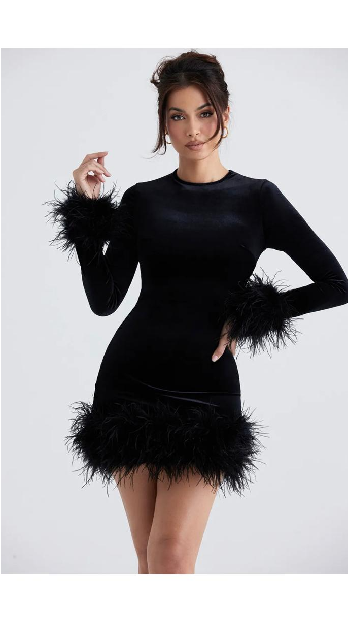 Round Neck Long Sleeve Feather Decoration Slim Fit Dress